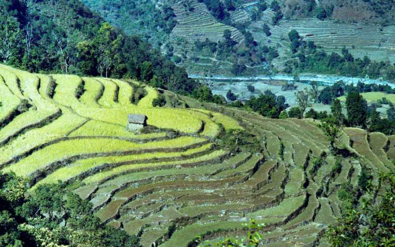 Brichyalaya Farm Stay